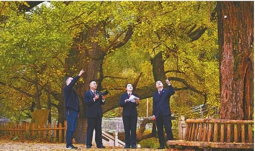 ��ʷֽ羀�ϵġ���������(hu��)��